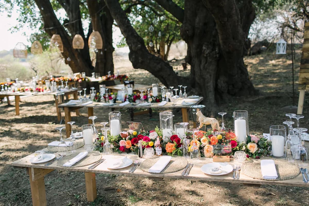A wedding reception beneath mature trees